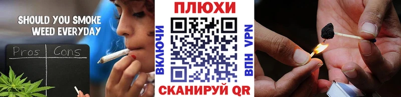 ГАШ Ice-O-Lator  Купить где  Данков 