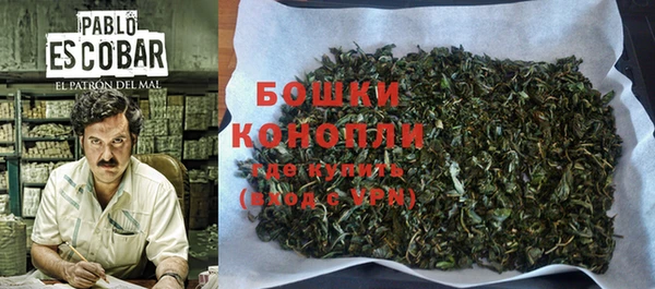 дживик Инта