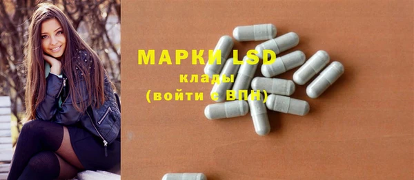 дживик Инта