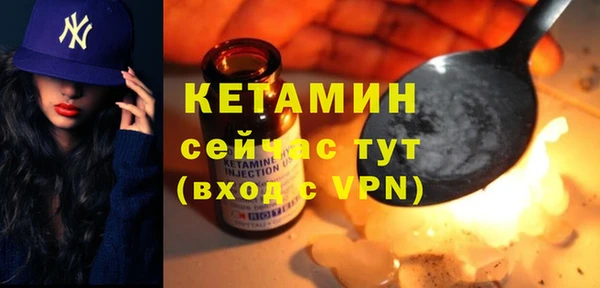 дживик Инта