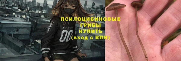ешки Каменка