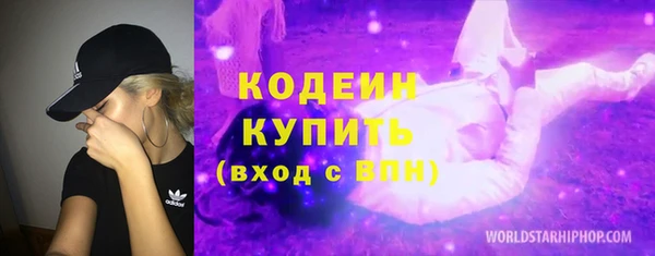 дживик Инта
