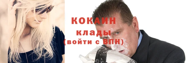 мет Инсар