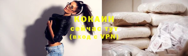 дживик Инта