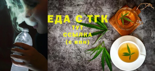 дживик Инта