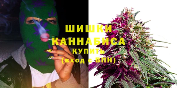 дживик Инта