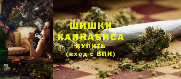 мет Инсар
