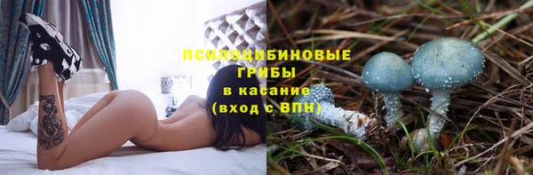 бутират Иннополис