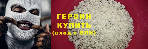 дживик Инта